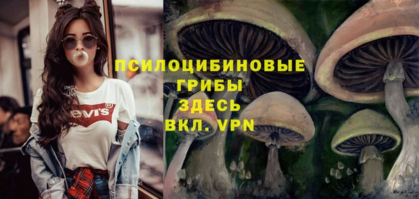 сатива Абинск